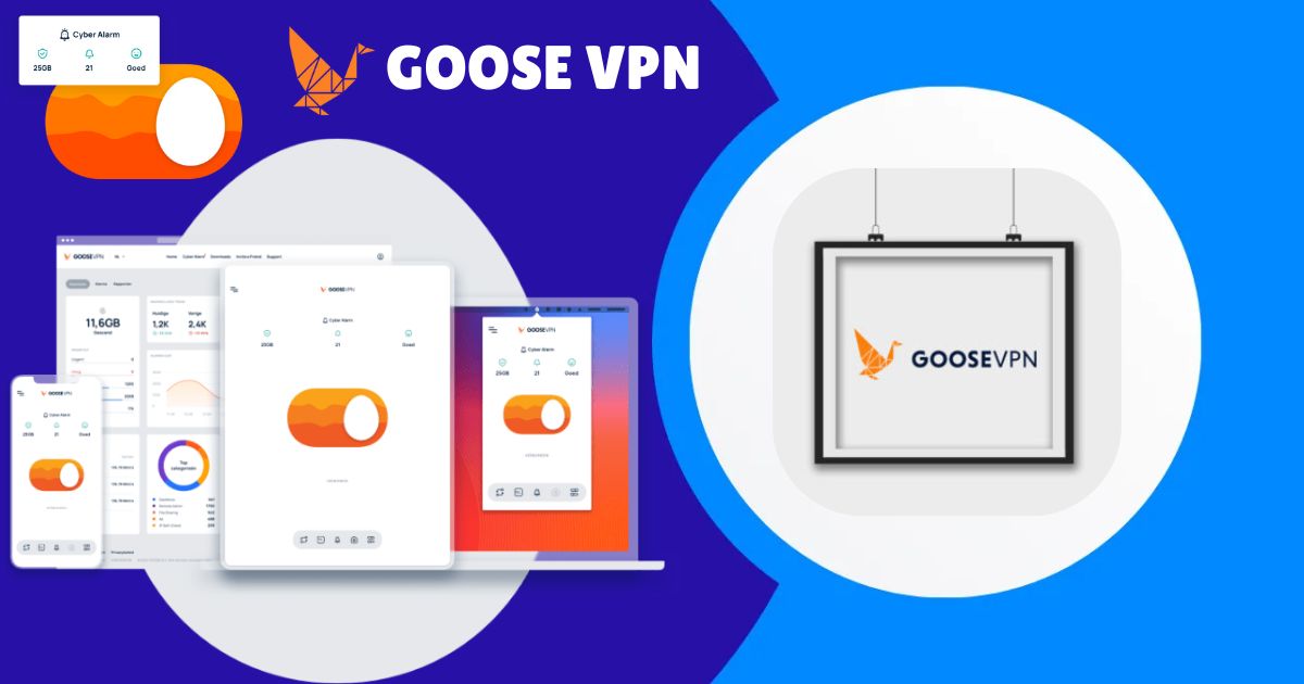 GOOSE VPN Lifetime Deal